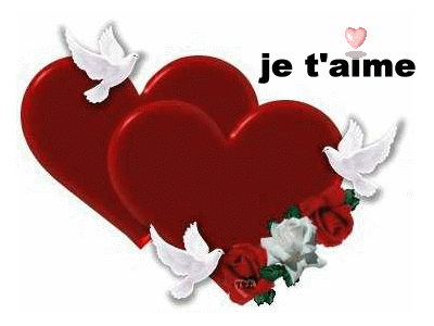 aimer